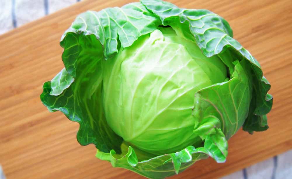 cabbage02